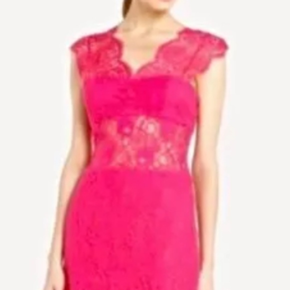 BCBG Maxazria devon begonia lace cocktail dress Sz4 - Picture 8 of 9